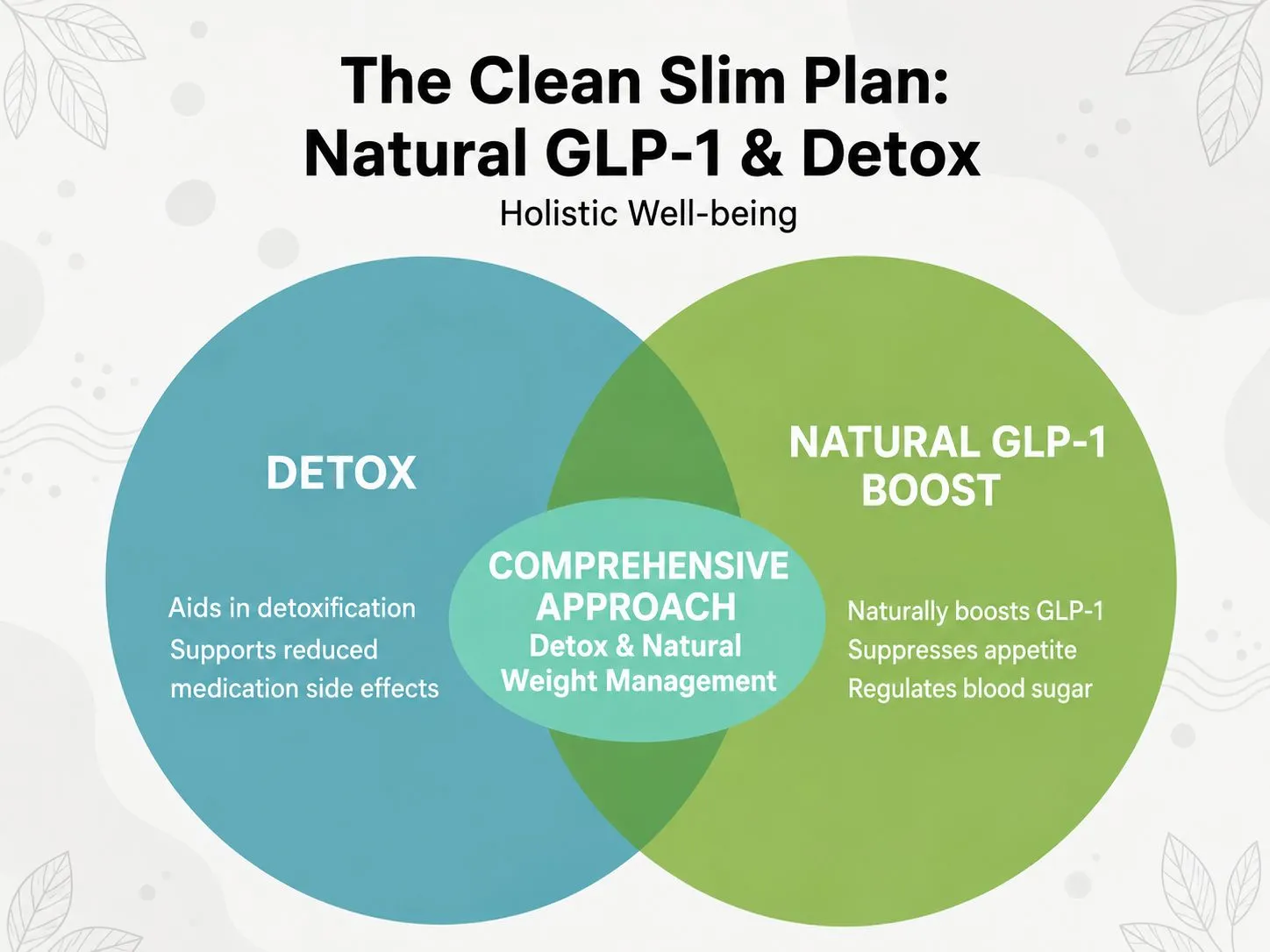 Clean Slim Plan Natural Weight Loss Program Diagram